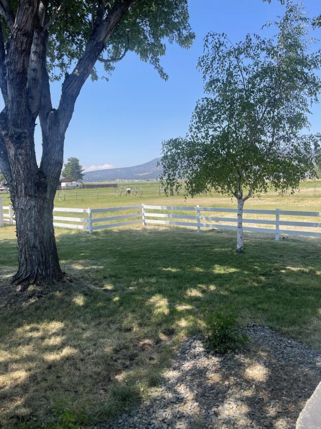 Prineville…..Irrigation??? “YES, I got you!!!” - photo 6