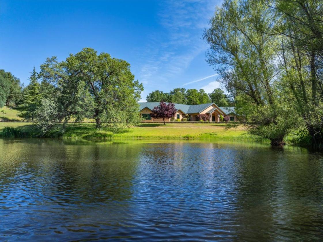 Equestrian Paradise - photo 26