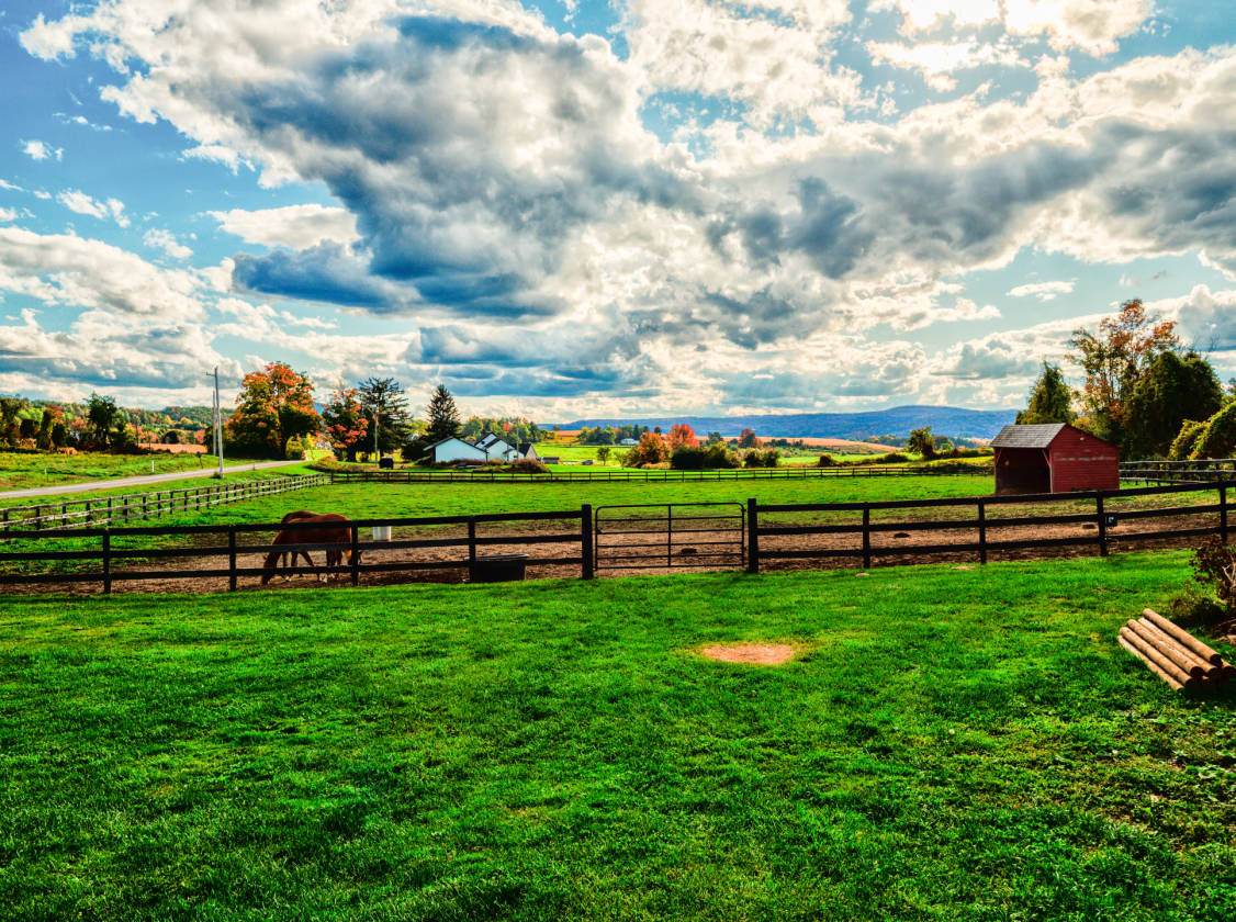 97 Acre Horse Farm in Cooperstown, NY Springfield Center, Otsego County, New York