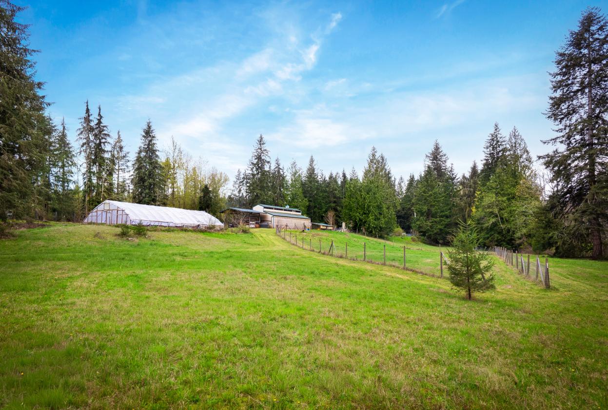10.5 ACRES | PASTURE | PRIVACY - photo 4
