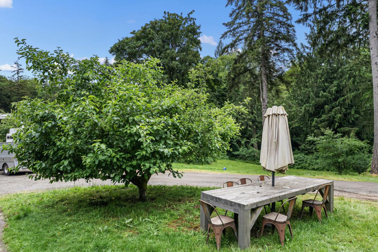 Bring Your Horses, Goats & Gardening Dreams - photo 17