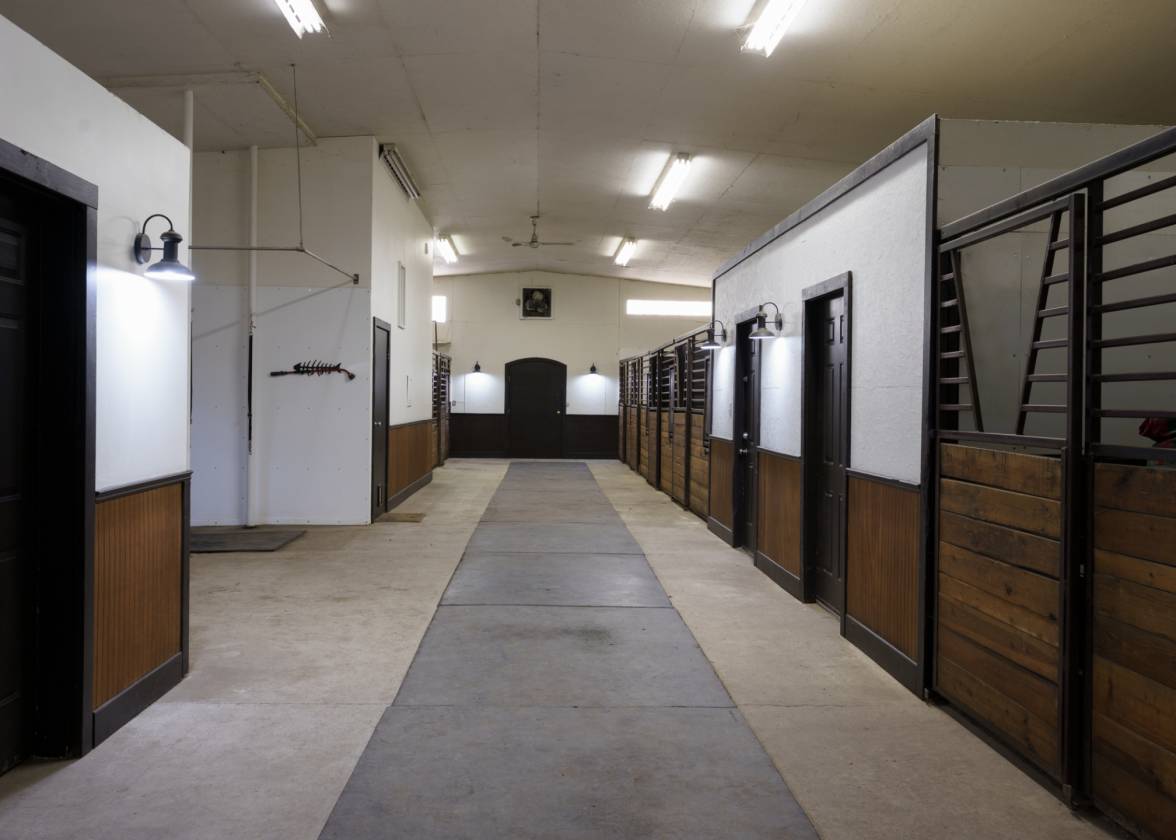 Equestrian Dream Estate - photo 15