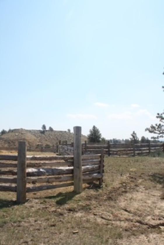 Piece of Heaven on 75 Acres - photo 10