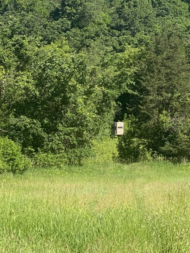 Deep River Farm - photo 12