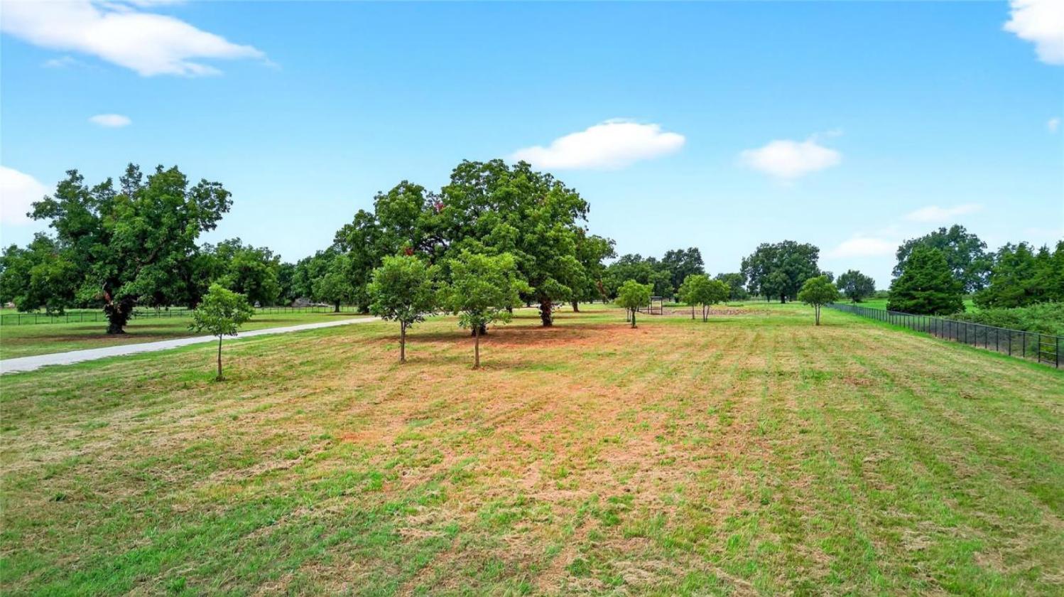 11 Acres of Pecan Trees - photo 13