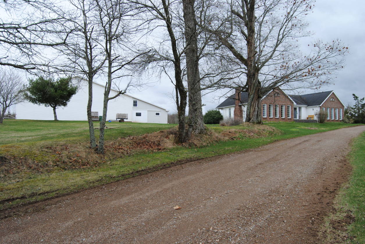 Nova Scotia Canada Horse Lover's Paradise Upper Nine Mile River