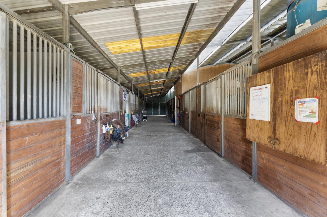 Dream Horse Property on Almost 16 Stunning Acres - photo 4