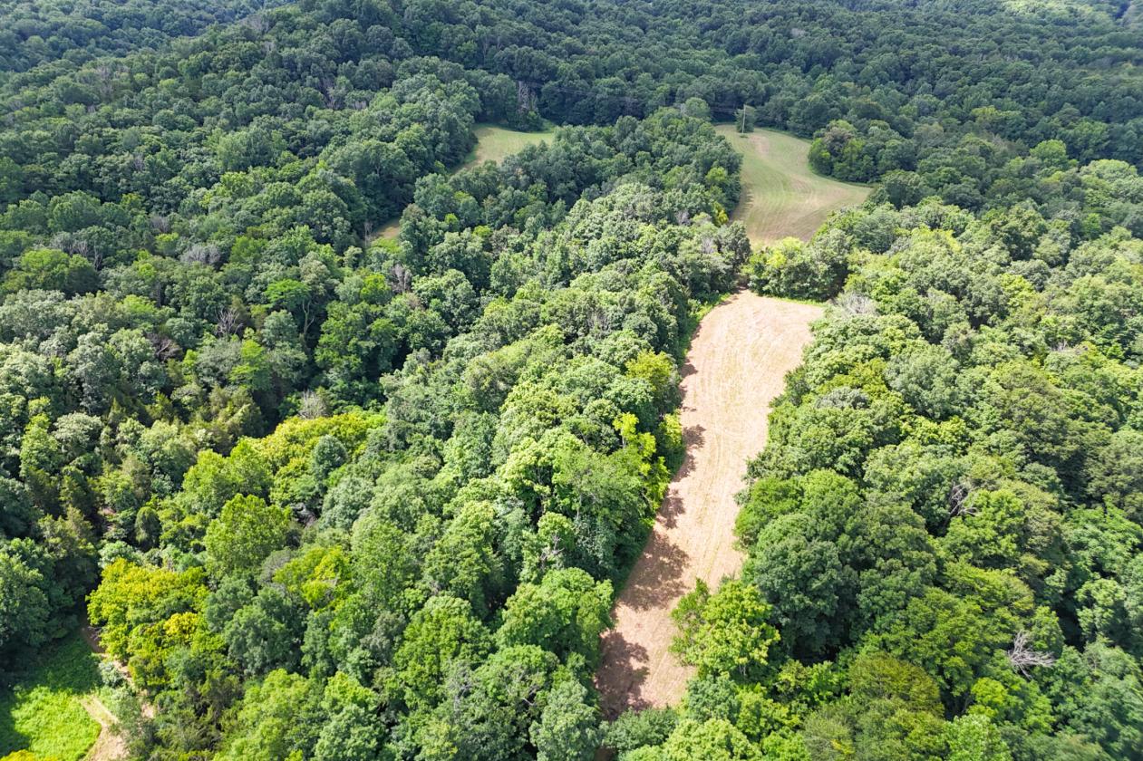 44-Acre Horse Farm & Hunting Retreat - photo 21