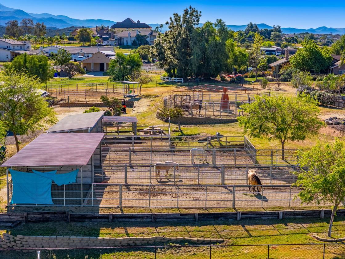 Move-In Ready Boutique Horse Property - photo 16