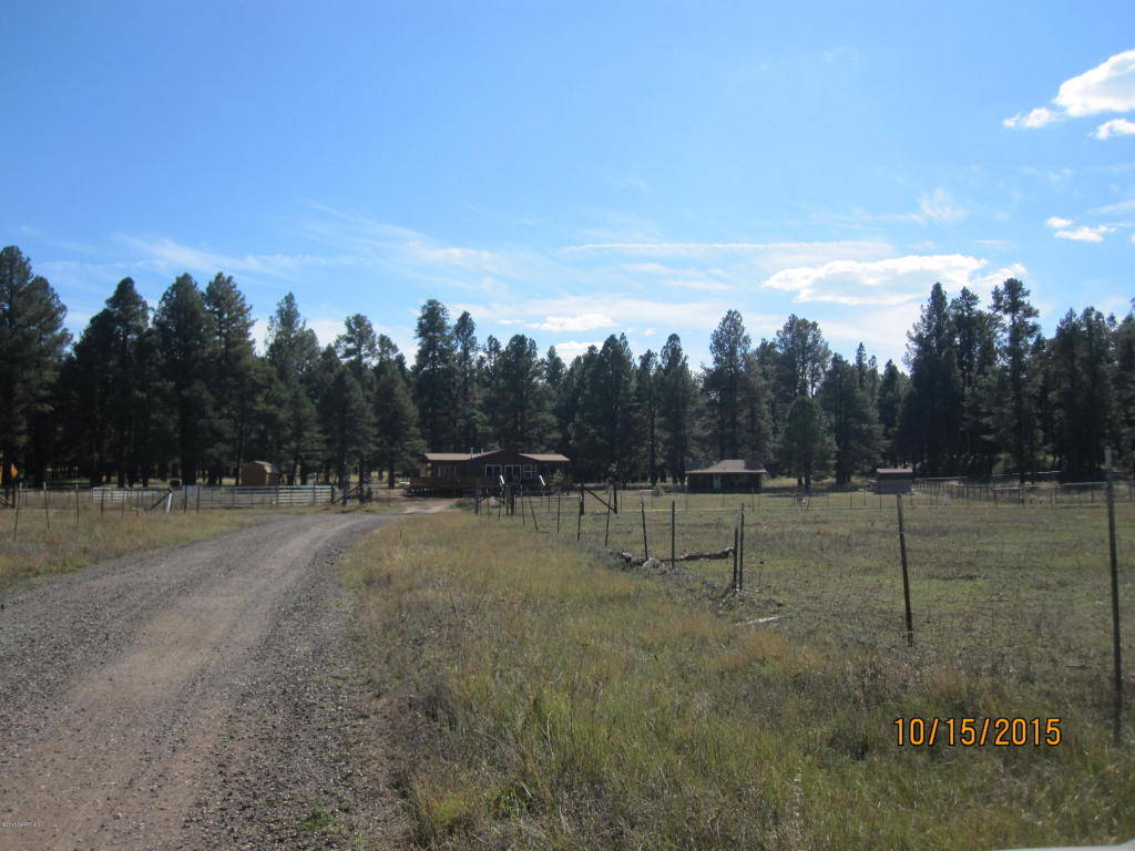Borders National Forest with Guest House in Elk Park Meadows