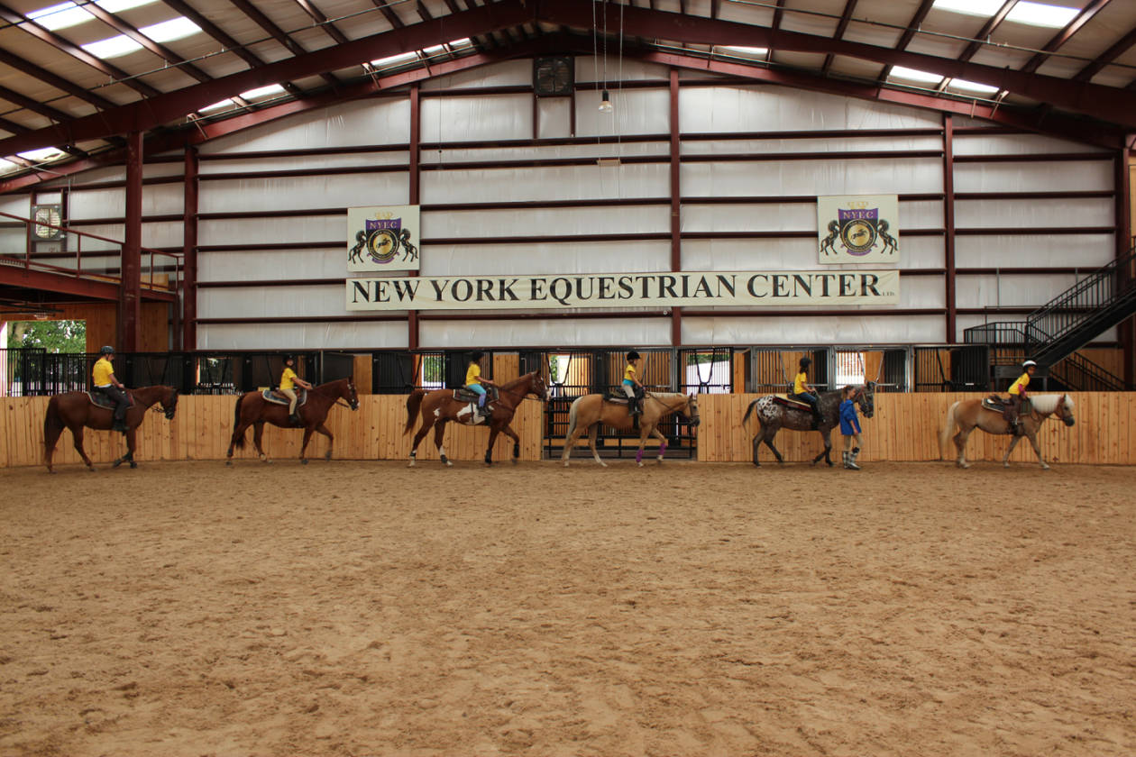 Rare New York Equestrian Center Available West Hempstead, Nassau