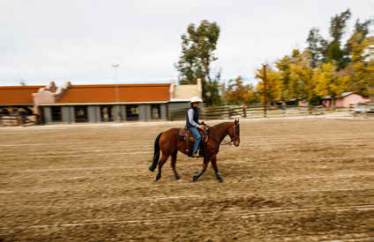 Iconic Tucson Guest Ranch Surrounded by State Park - photo 7