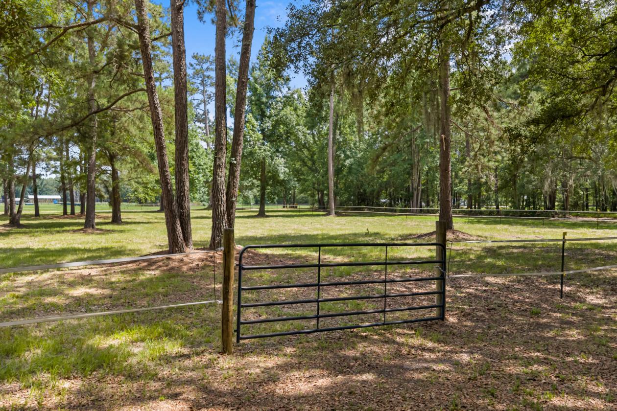 Historic home - ready for horses! - photo 8
