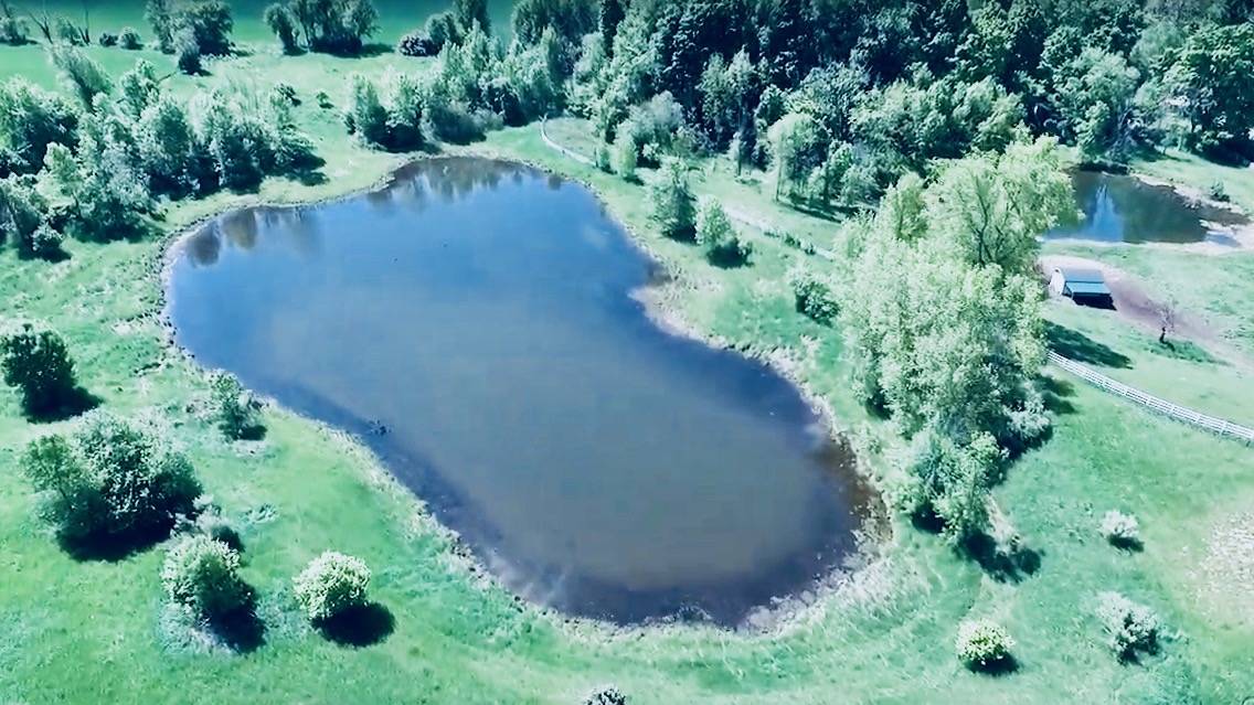 HISTORIC HOME & HORSE FARM Lapeer, Lapeer County, Michigan