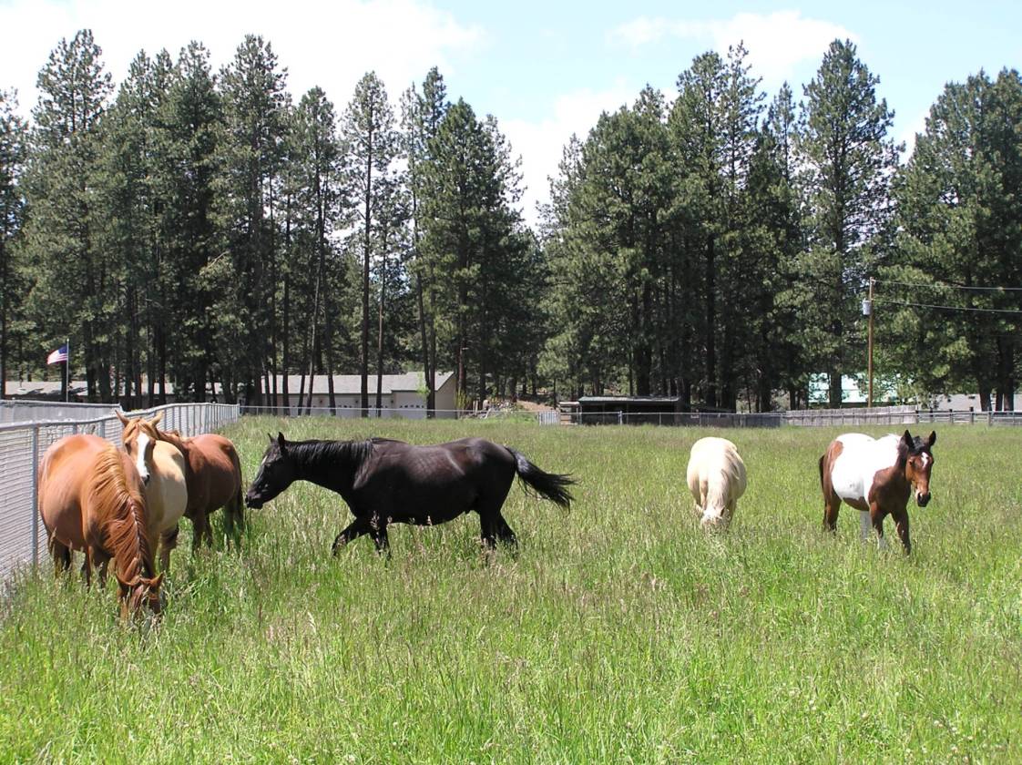 Stunning & Private 6.1 acre Horse Property in Central Oregon Bend