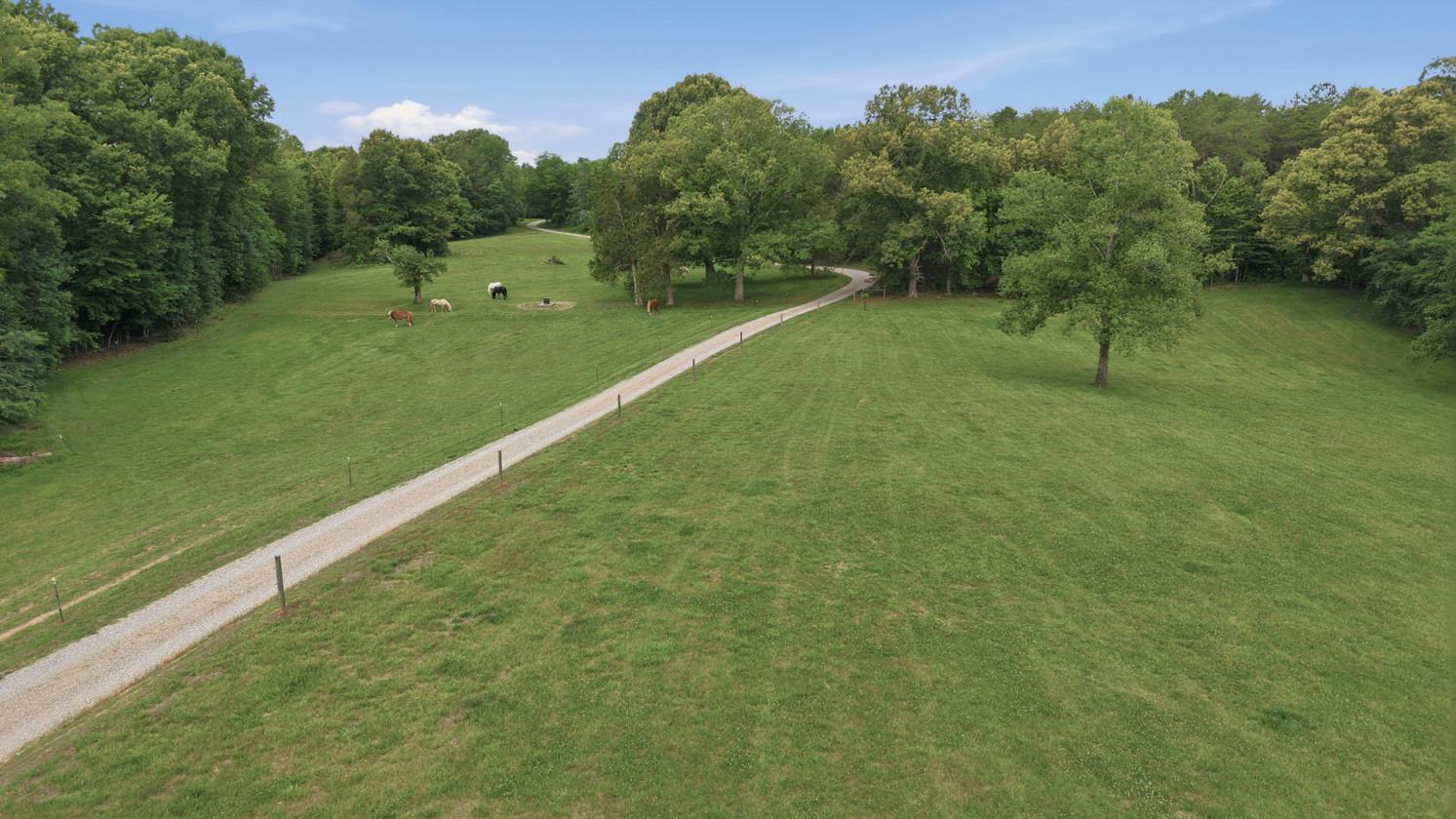 Equestrian Estate Bordering State Forest! - photo 1