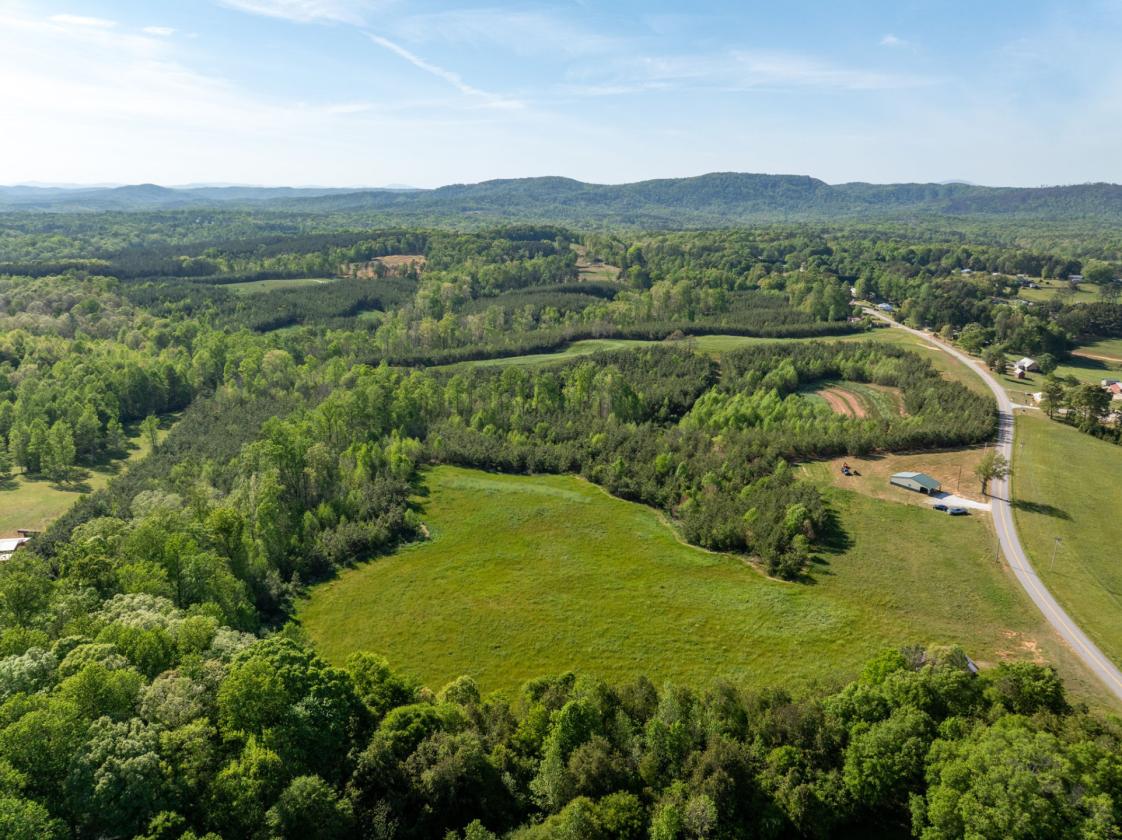 169 Acres, pastures, creeks, pond sites and trees - photo 13