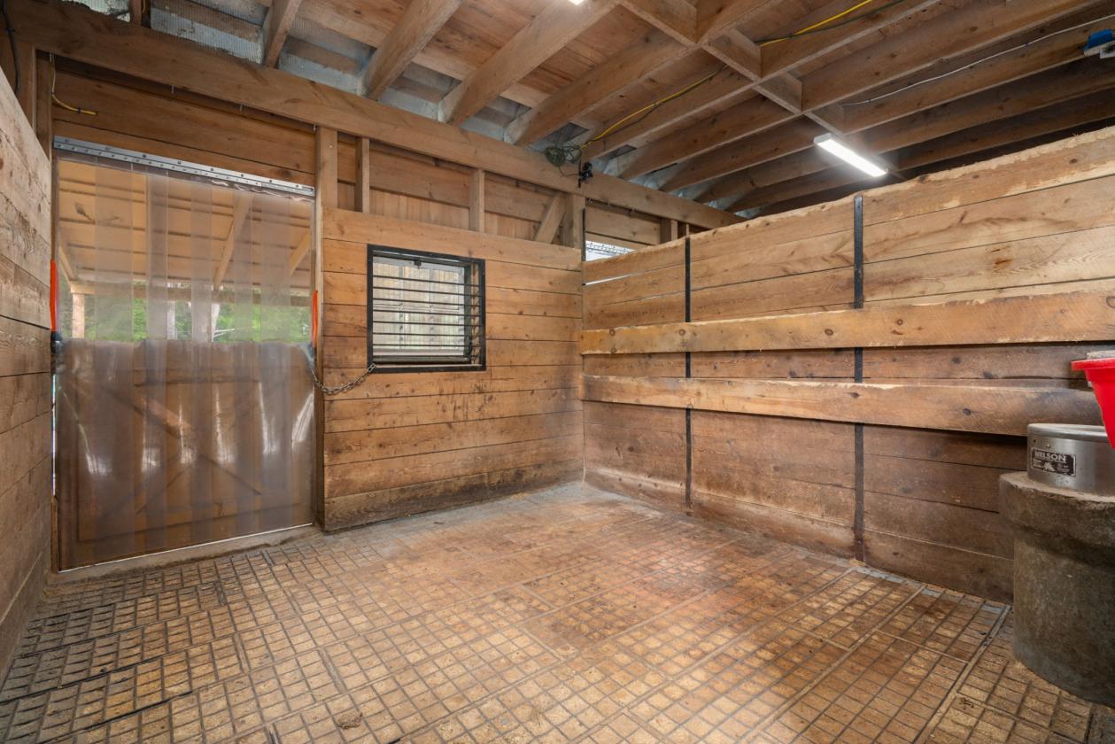 Idyllic & Private Equestrian Estate - photo 12