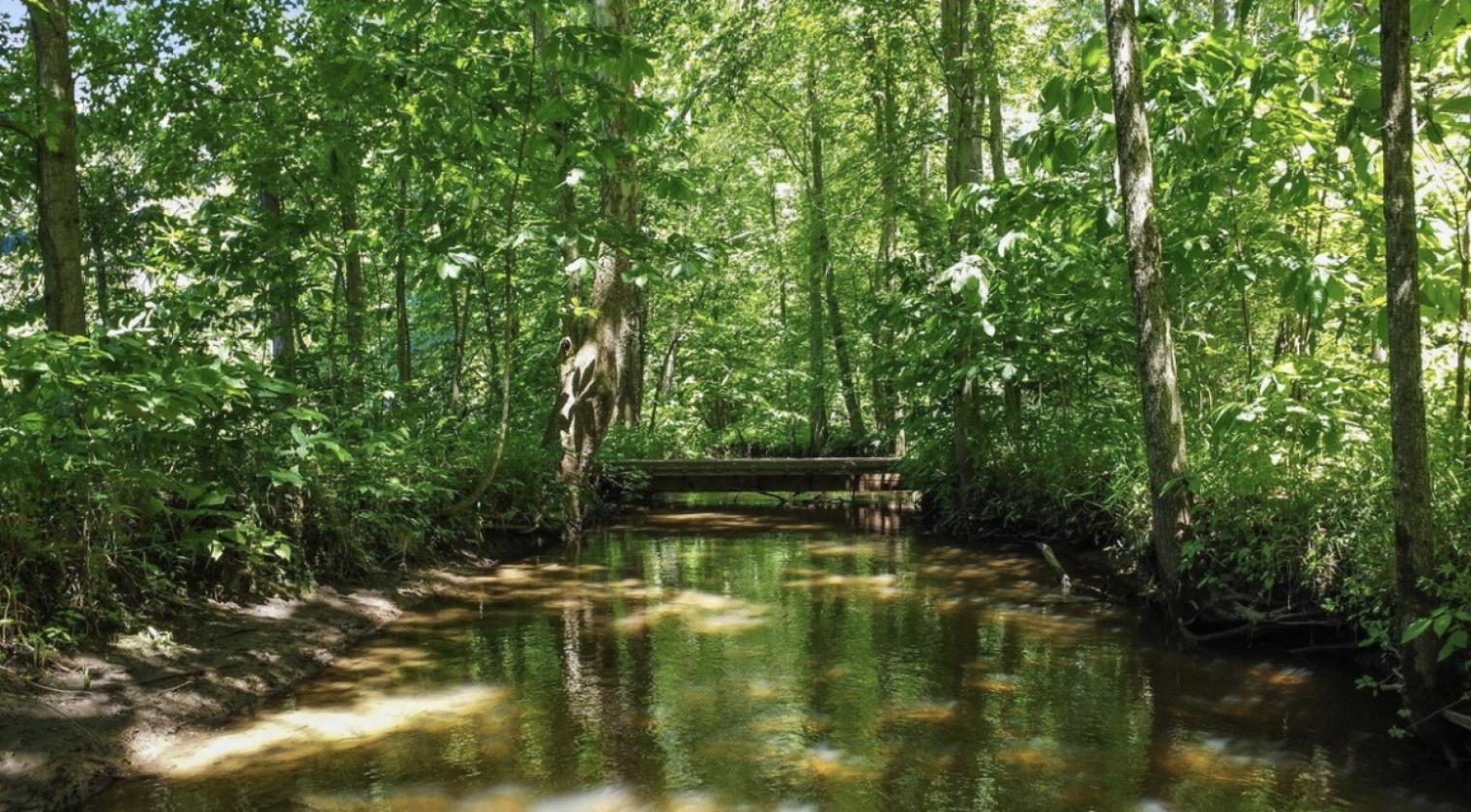 This property features 82 +\- acres - photo 12