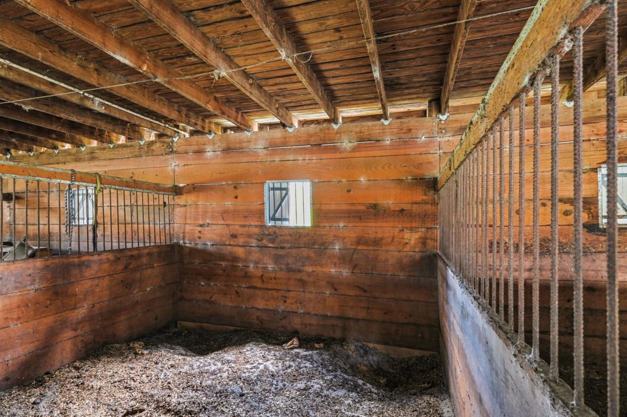 Affordable Equestrian property - photo 24