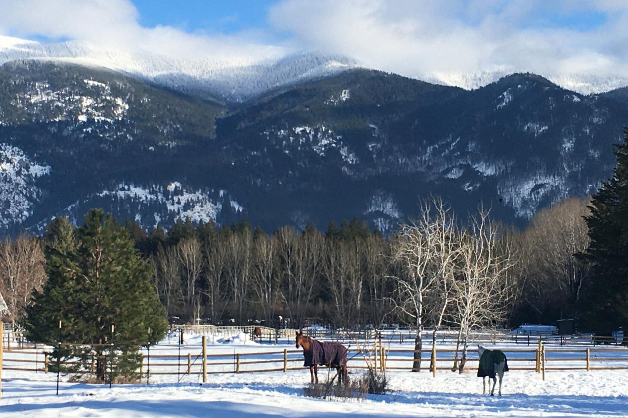 Horse Ranch Near Glacier National Park | Mountain Views! - photo 28