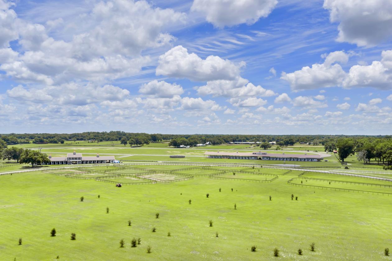 BELLEMONT FARM
YOUR PREMIER TRAINING CENTER - photo 7