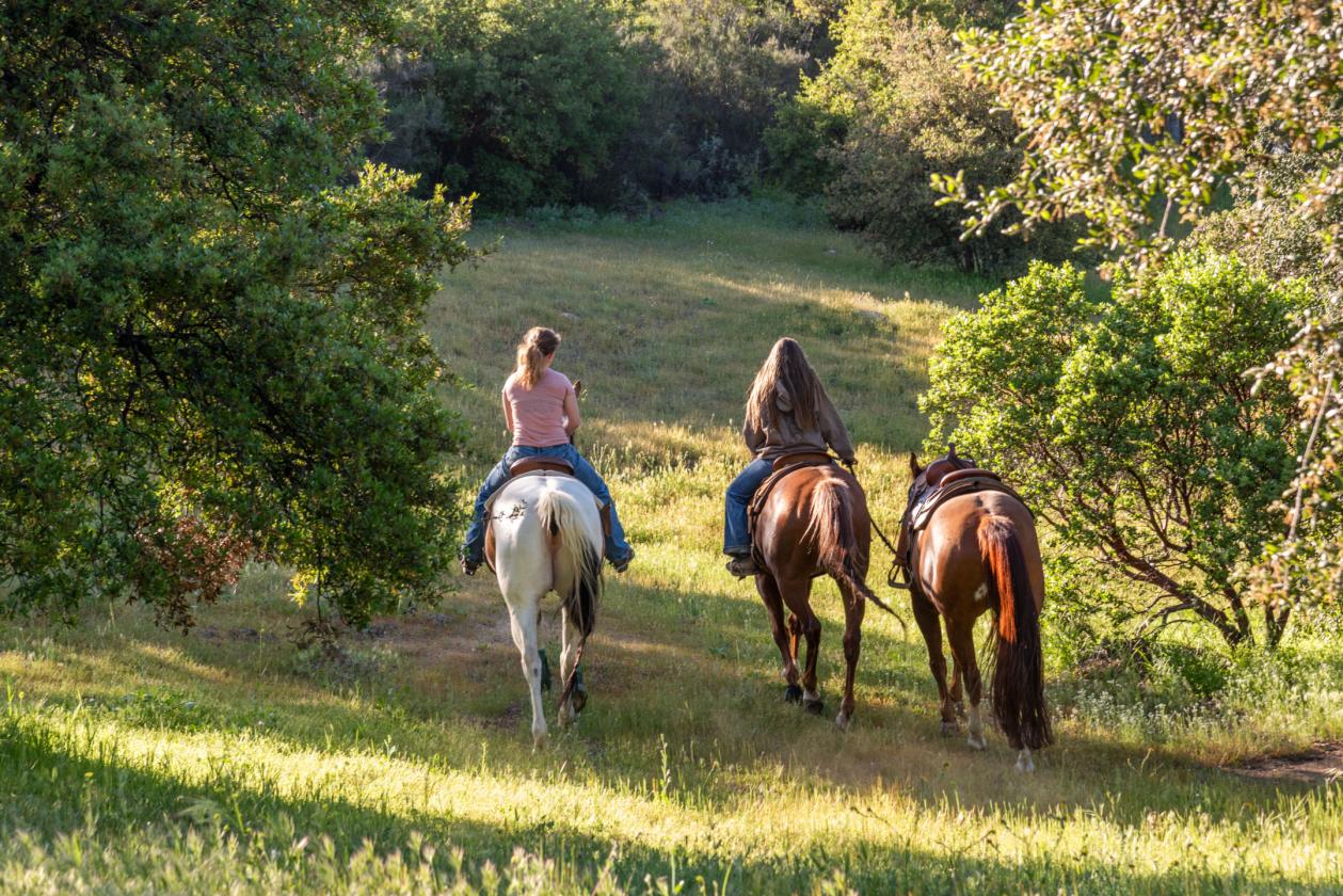 “Ride at Sunrise, Unwind at Sunset — Southern Cali - photo 5