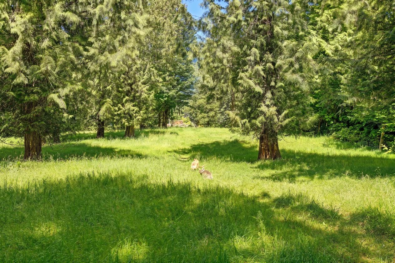 Whitehorse Area Farm - 7.61 acres + Arena - photo 20