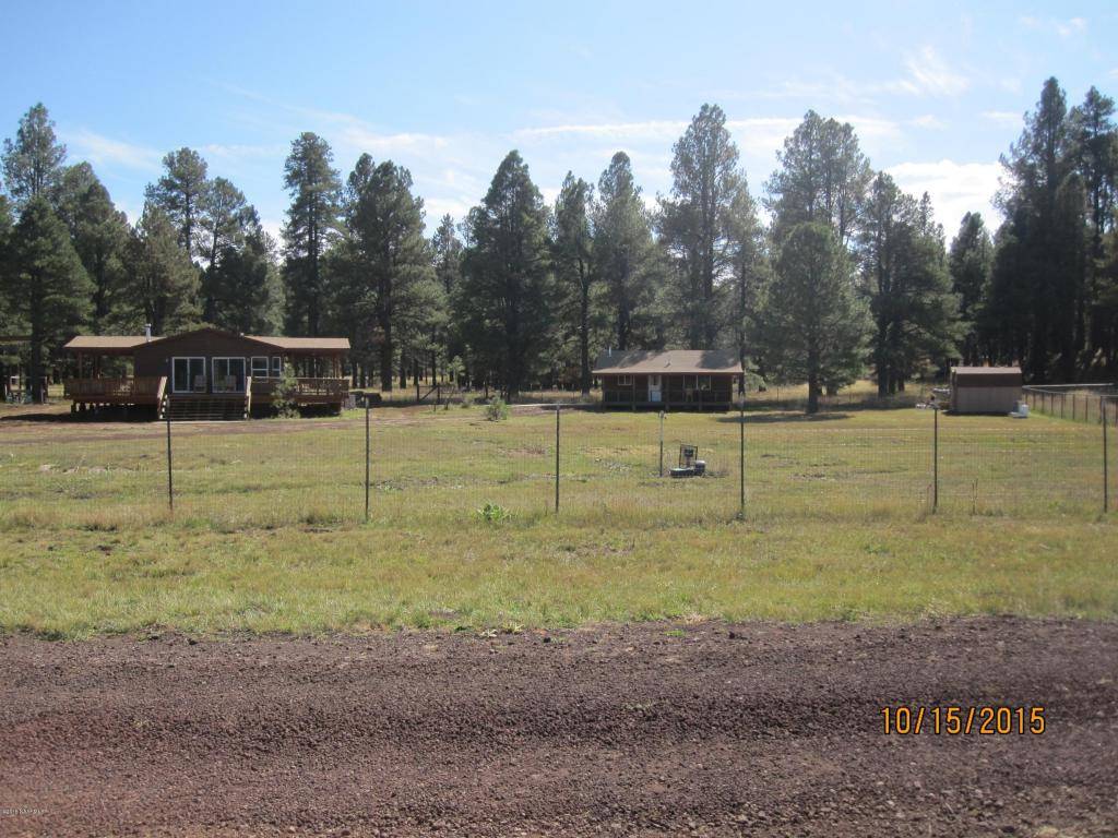 Borders National Forest with Guest House in Elk Park Meadows