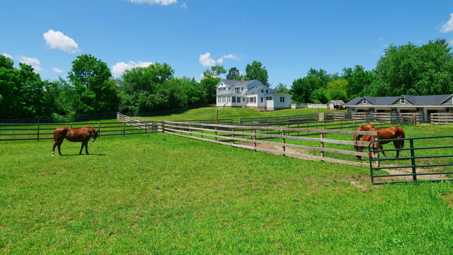 EQUESTRIAN ESTATE/HISTORIC HOME/OWNER FINANCING - photo 1