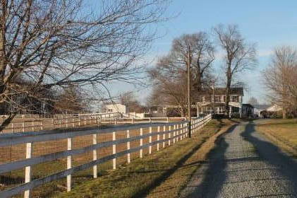 horse awaits livestock opportunity