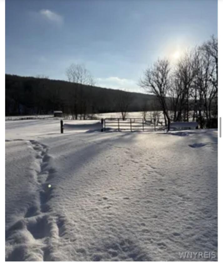 Horse Property gorgeous view 5ac- 2 barns & home - photo 28