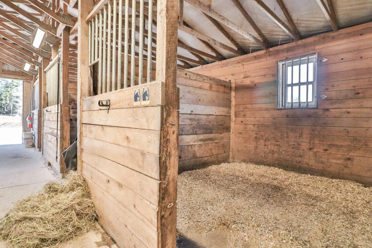 40 Acre Equestrian Property with Indoor Arena - photo 9