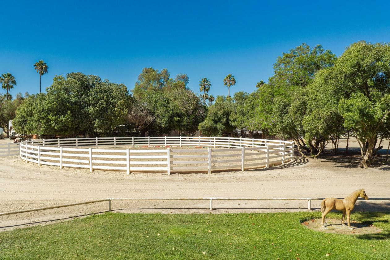 Luxury At Home. Excellence In The Ring. - photo 11