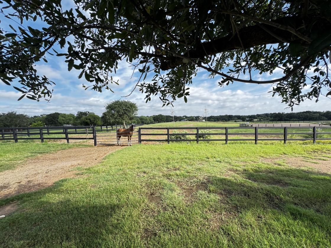 The Trails Vista Retreat - photo 22