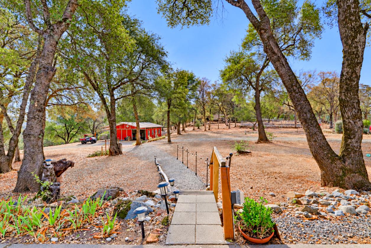 Equestrian Ready in Grass Valley / Penn Valley - photo 19