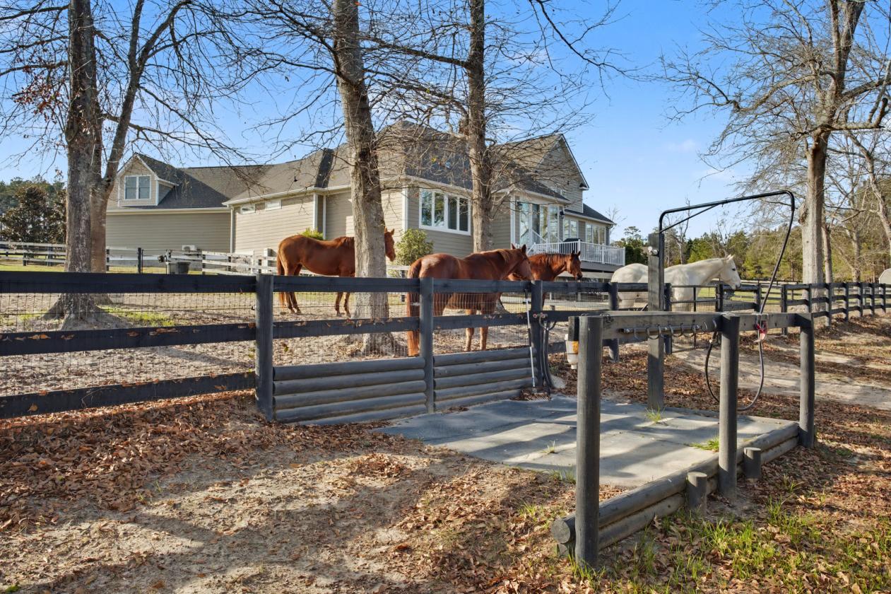 The total package horse property - photo 21