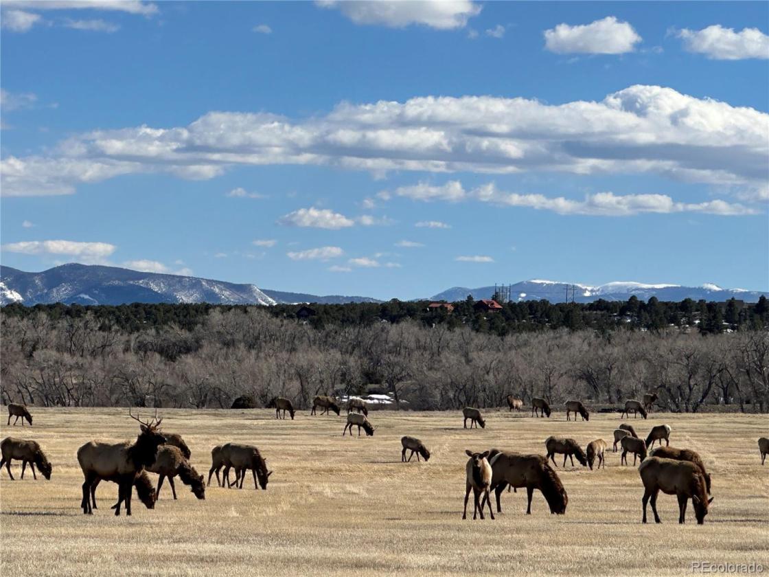 Horse property with multiple income streams - photo 24