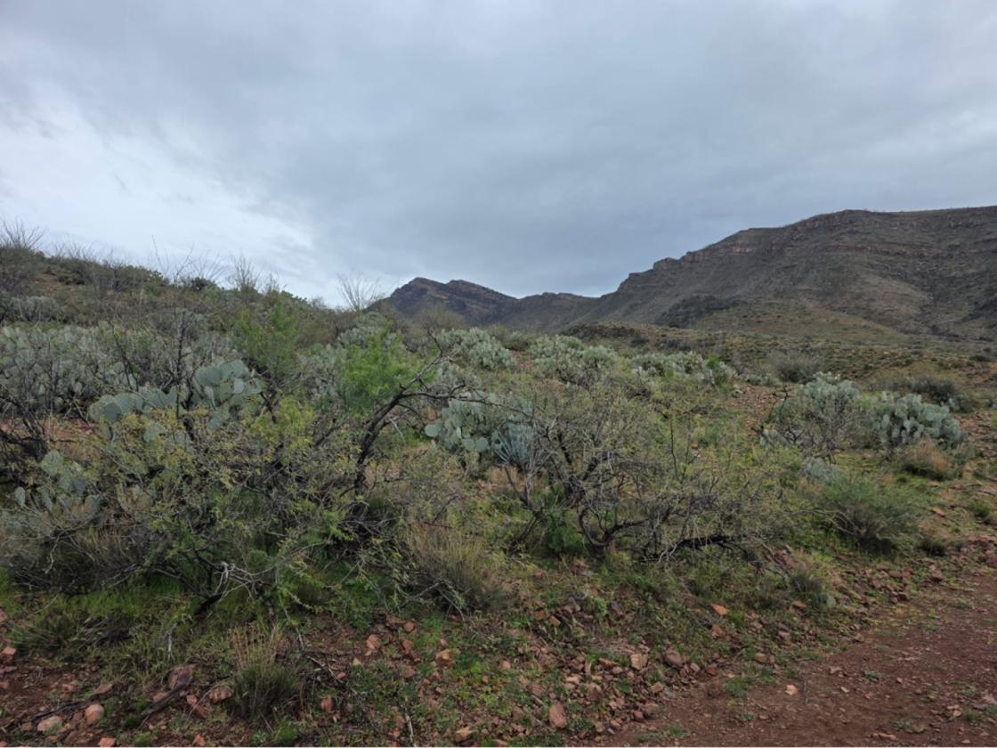 642 Acres El Capitan Canyon Ranch - photo 26
