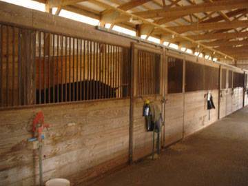 Carlisle Springs Farm - photo 19