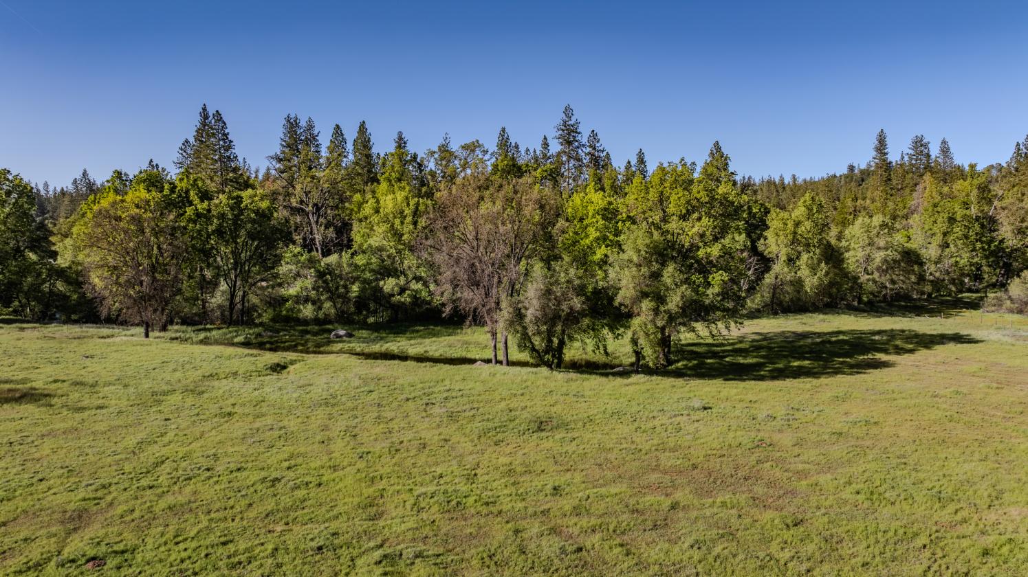 40 Acres - Fully ADA/Wheelchair Accessible - photo 13