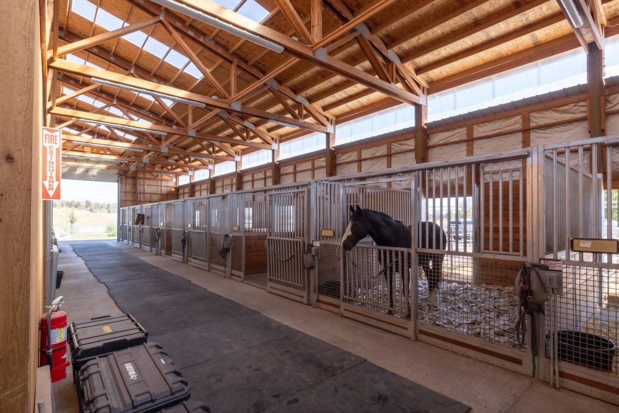 Commercial Horse Training Facility - photo 21