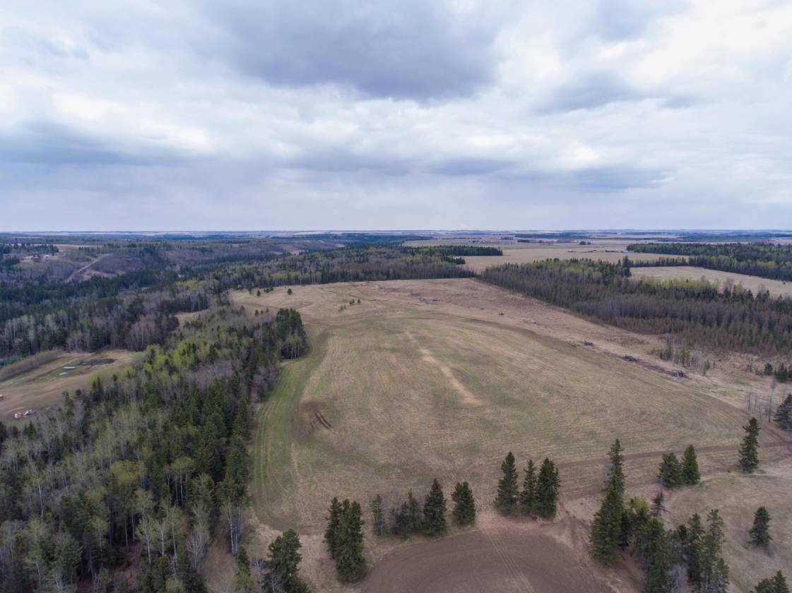 Beautiful 101 Acres w/ Country Home, Equestrian Arena & Barn