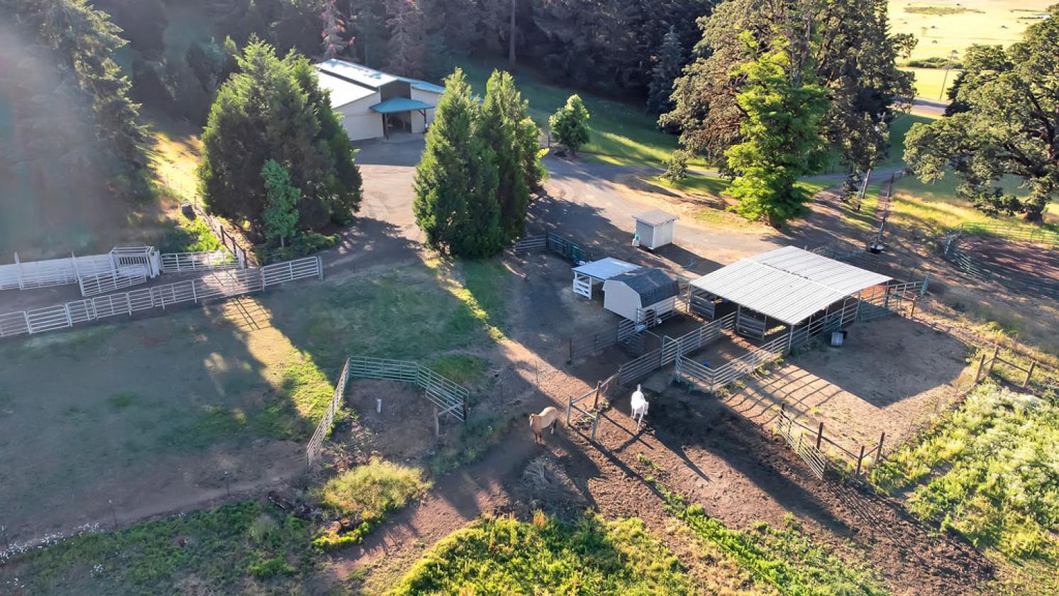73+acre Estate a rare blend of amenities! - photo 28