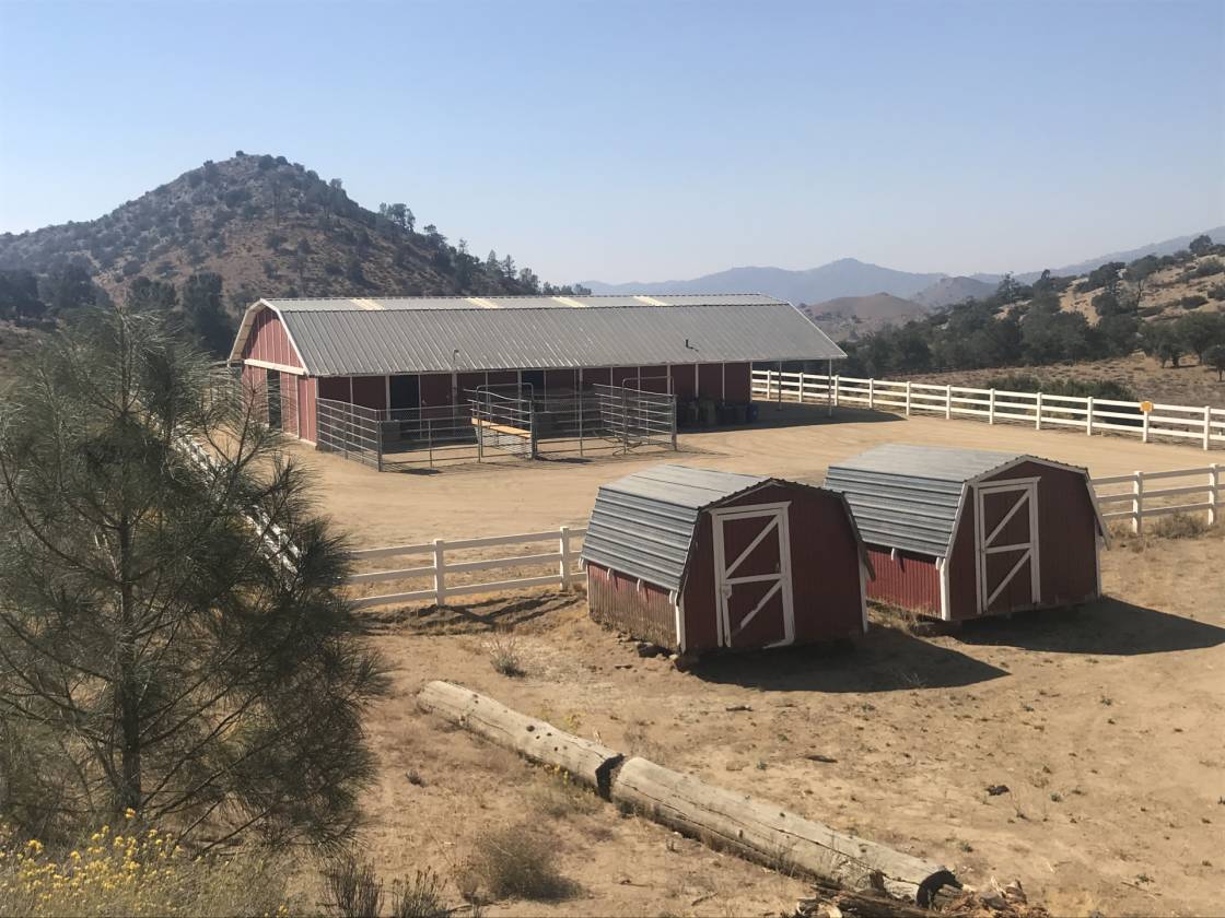 41.5 Acre Country Equestrian Estate 4 Double Stall Barn, Large