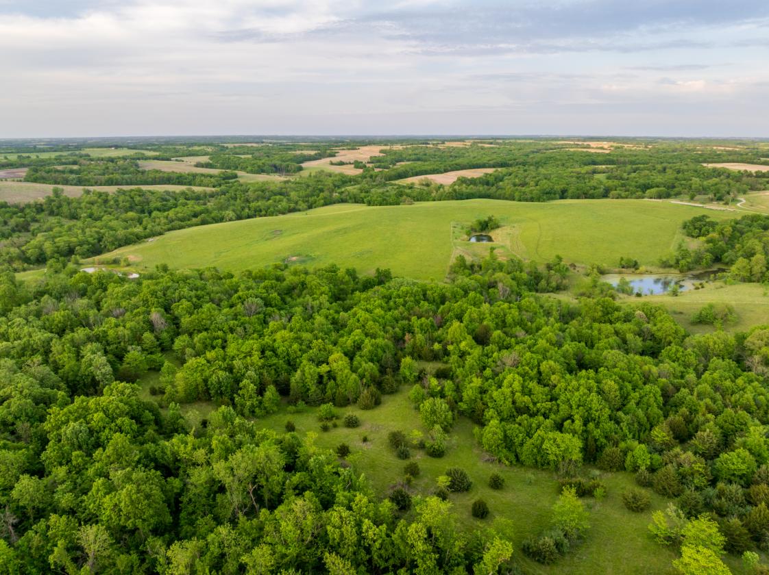 273.5 +/- Acre Turn-Key Cattle and Horse Property - photo 10