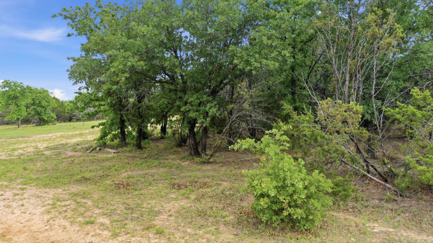 12-Acre Ag-Exempt Property - photo 23