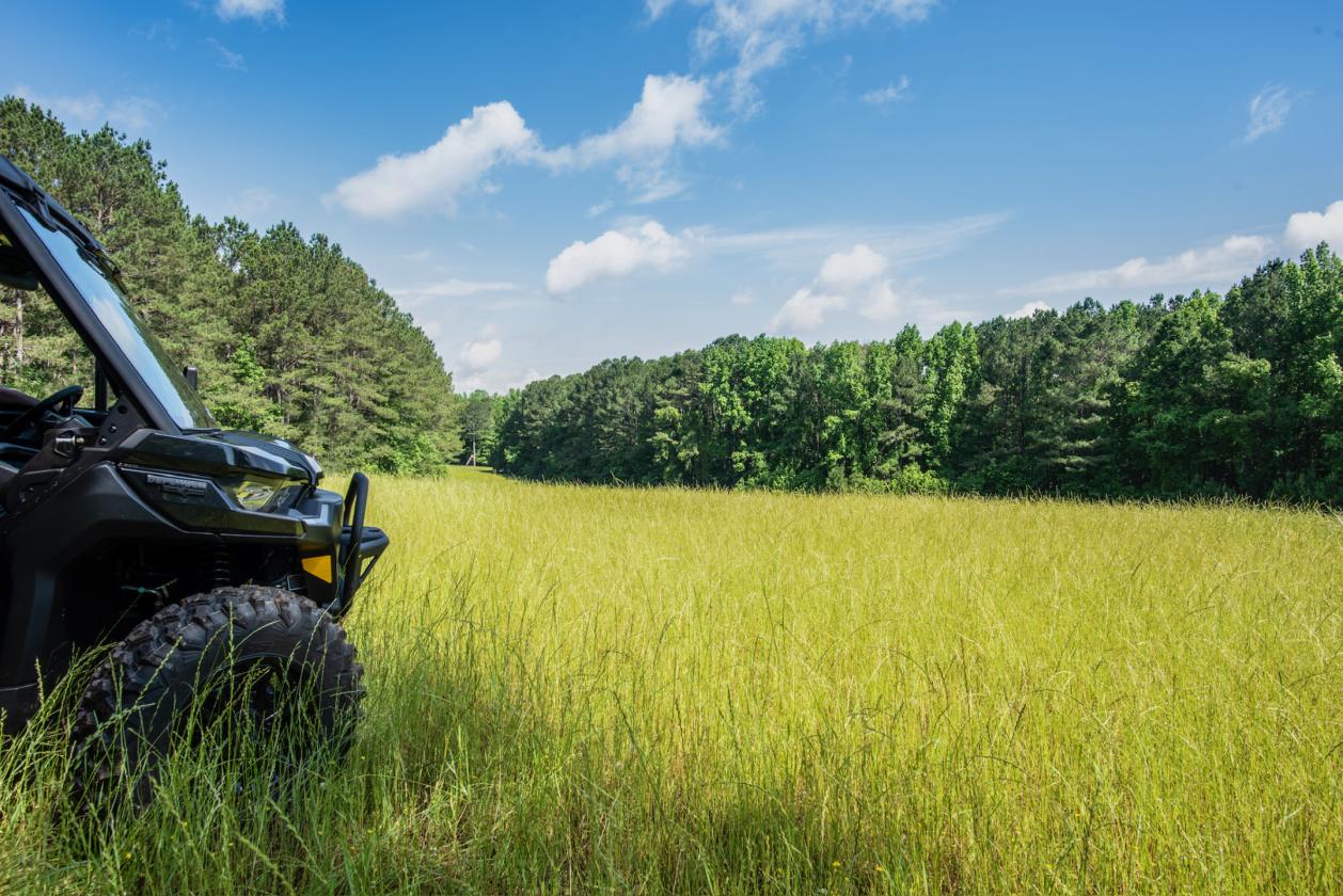 1028 ACRES - SPORTING/EQUESTRIAN - photo 5