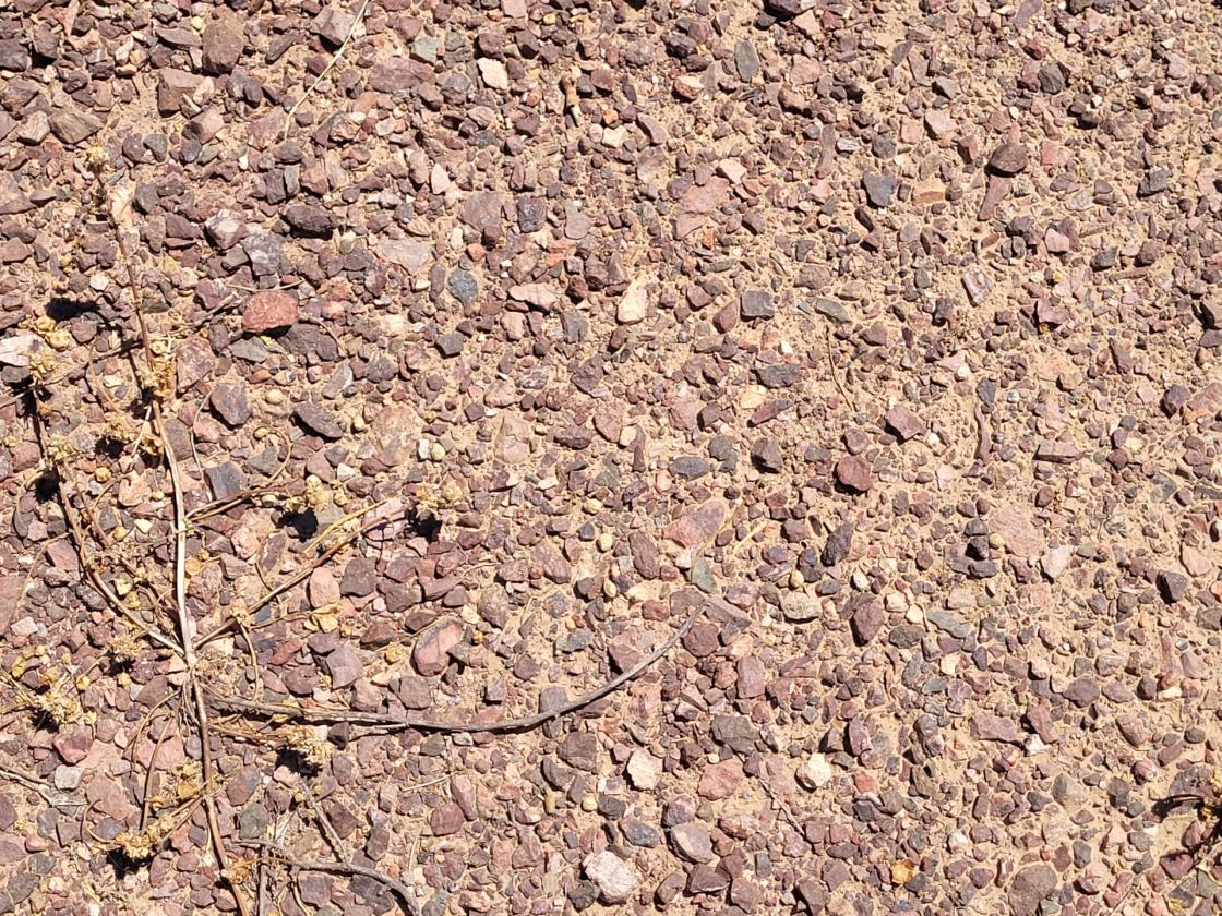 Eagle Eye - 10± Acres - photo 14
