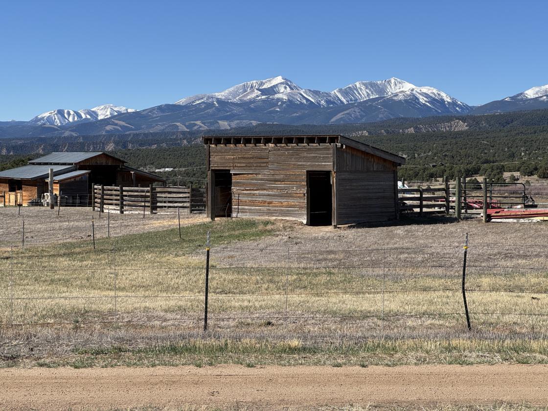 Horse property with multiple income streams - photo 16